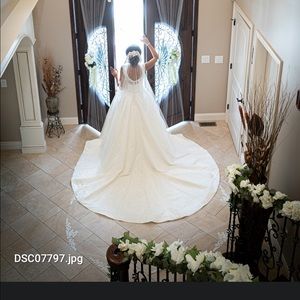 Wedding Dress plus Veil